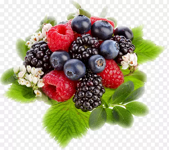 黑莓果实覆盆子