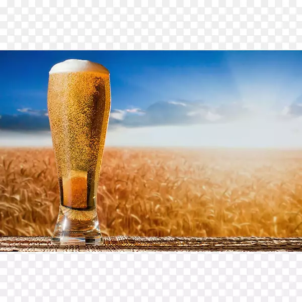 啤酒酿造谷物和麦芽啤酒酵母家用酿造和酿酒用品-啤酒