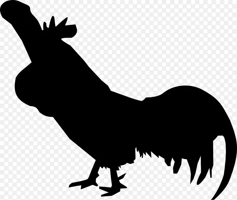 公鸡，一只涂鸦，莱霍恩鸡，亚姆，塞马尼，长鸣鸡