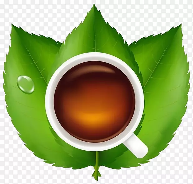 茶杯绿茶伯爵茶叶茶
