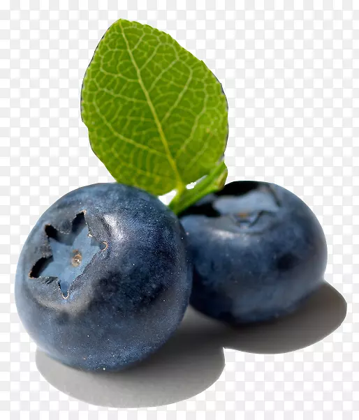 欧洲蓝莓