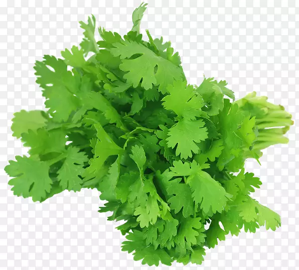 香菜
