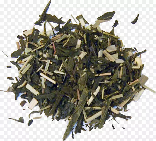 Nilgiri茶hōJicha茶树-泰国茶