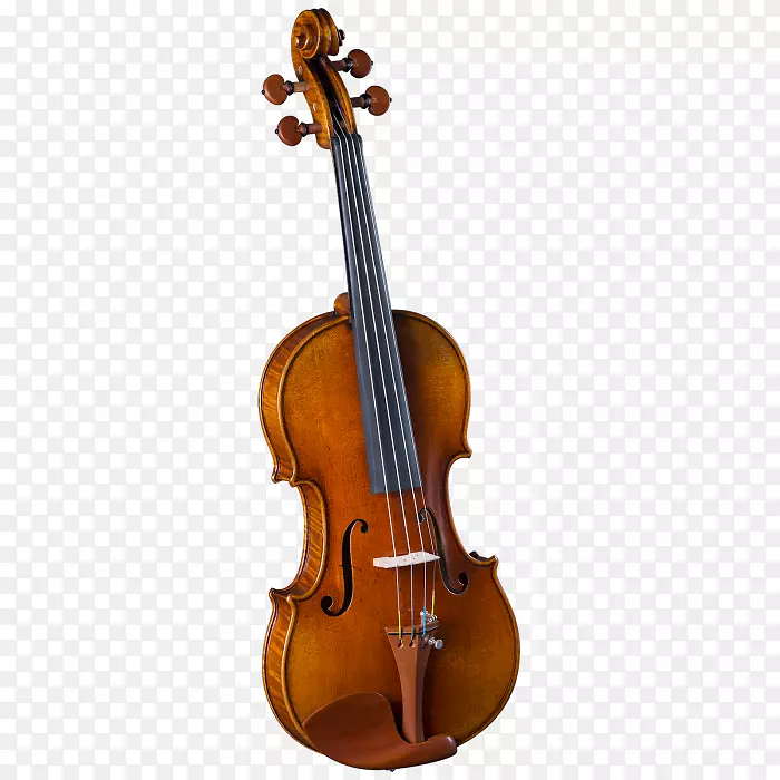 乐器小提琴弦乐器中提琴乐器
