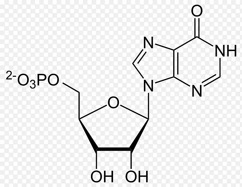 腺苷三磷酸腺苷一磷酸腺嘌呤肌苷酸-777
