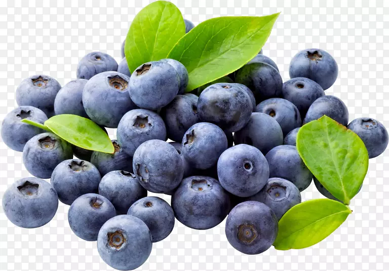 蓝莓食品水果剪贴画-蓝莓