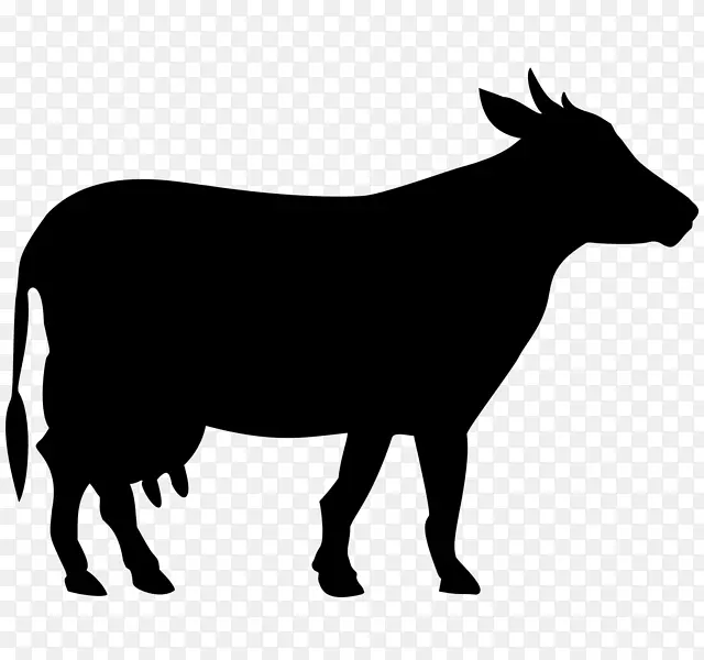 威尔士黑牛，白色公园牛，荷斯坦牛，弗里西亚牛，牛肉牛，牛磺酸牛