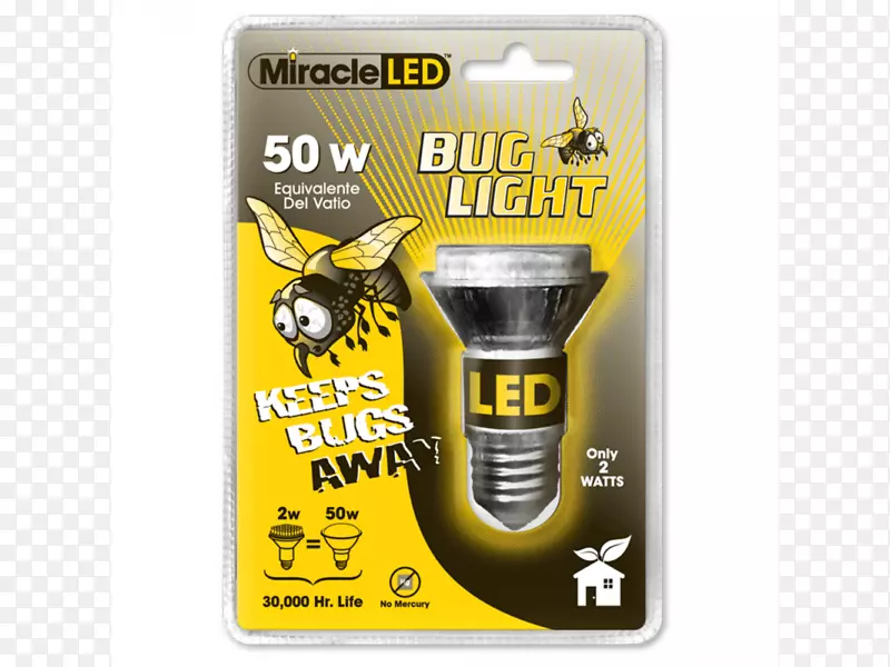 白炽灯泡灯发光二极管紧凑型荧光灯花园里的小虫