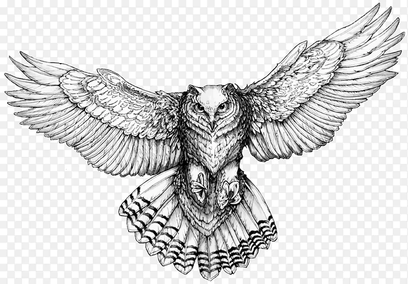 猫头鹰纹身图