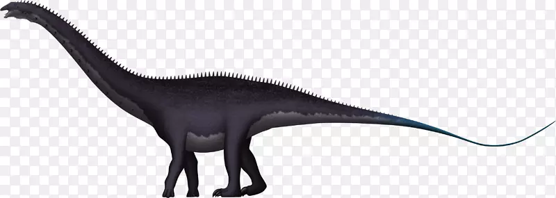 恐龙动物-恐龙