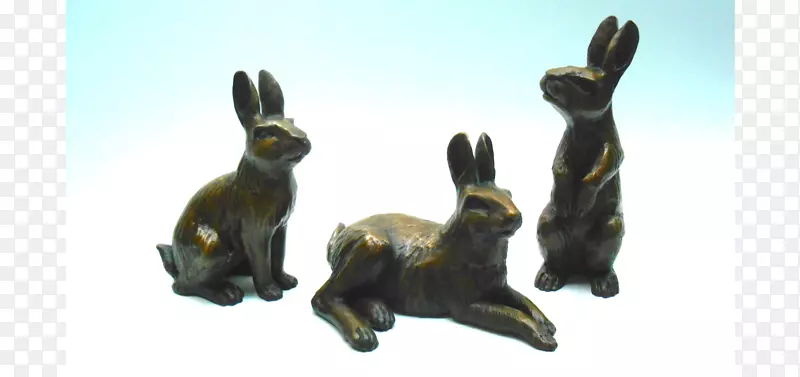 野兔动物-洛基