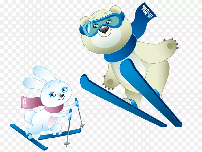 2014年索契冬奥会奥林匹克运动健身中心