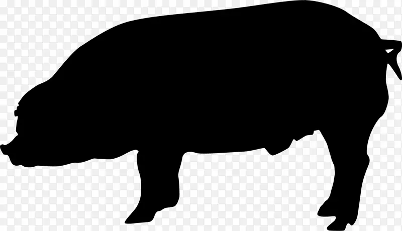 杜洛克猪汉普郡猪英国本土猪丹麦本土猪大白猪轮廓