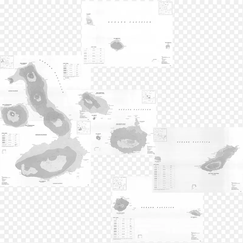 白线角字体线