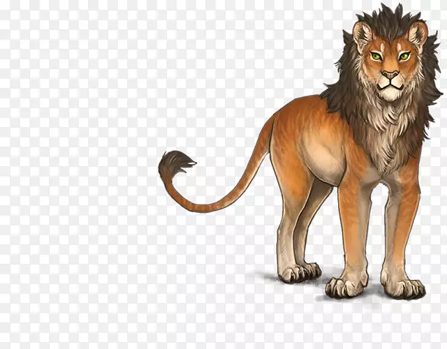 狮子大猫咆哮陆地动物-狮子