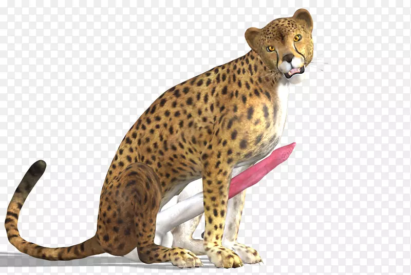 猎豹美洲豹电脑图标-猎豹