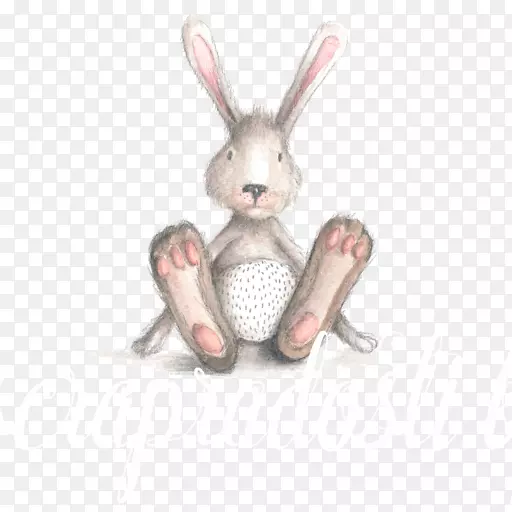 宝宝淋浴，兔子礼物，性别展示派对-兔子