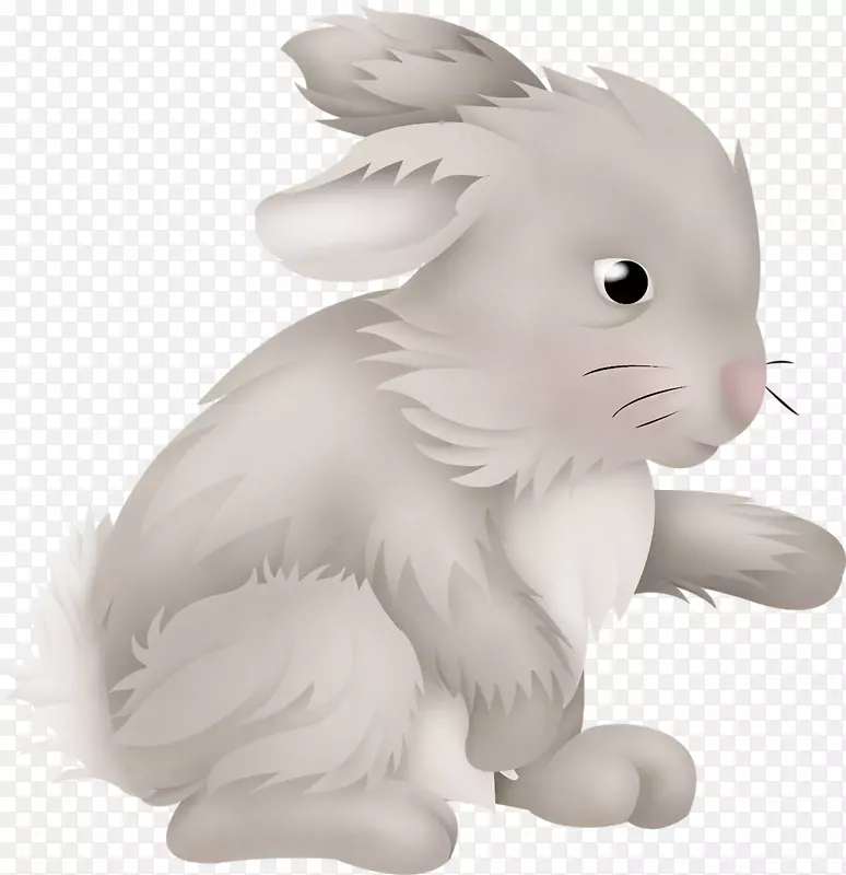 家养兔子复活节兔子欧洲兔-兔