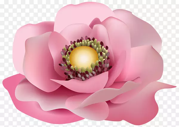 粉红花卉设计剪贴画-花