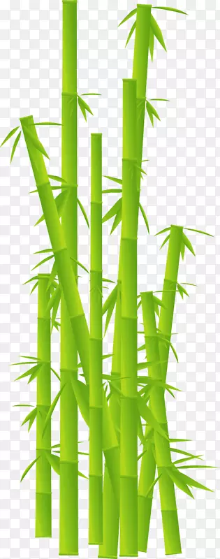 热带木本竹子植物茎夹艺术