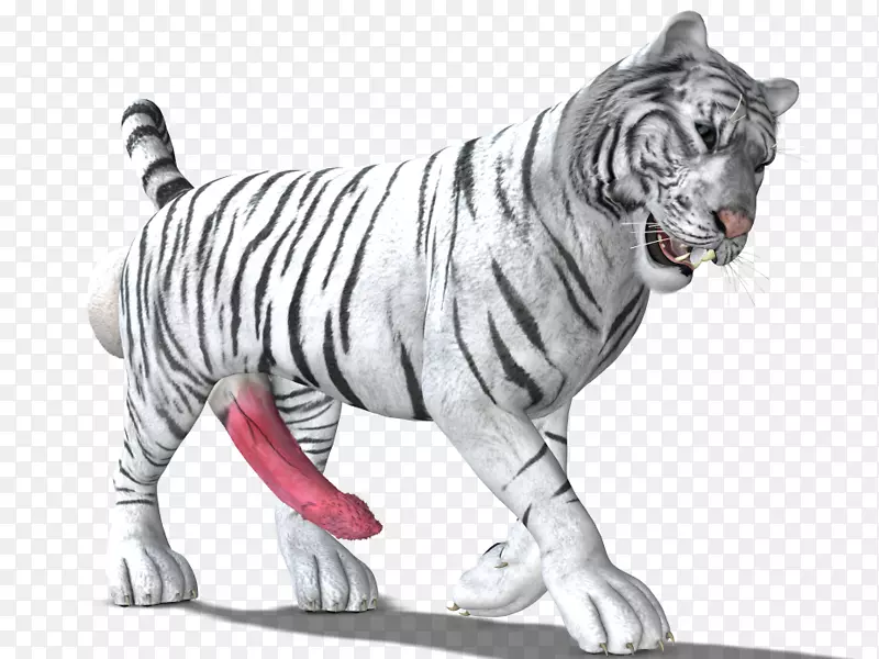 老虎大猫陆生动物野生动物-老虎