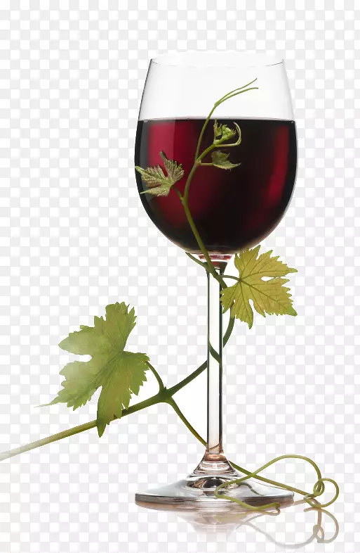 红葡萄酒酒楼-葡萄酒