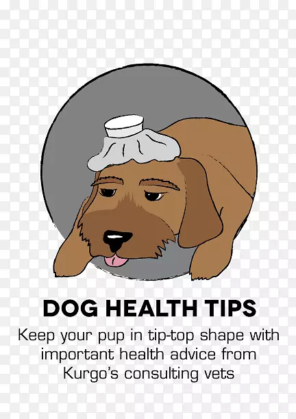 小狗训练库戈狗健康-健康提示