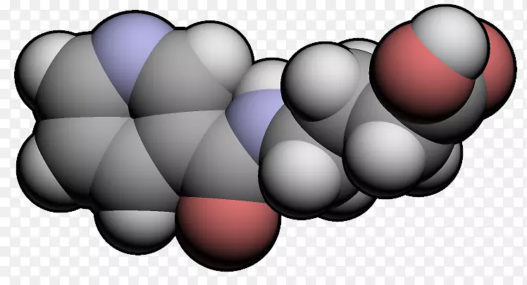 膳食补充剂吡卡米隆正向性γ-氨基丁酸烟酸