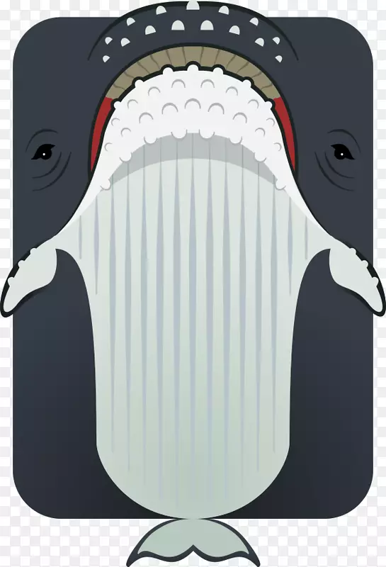 动物座头鲸