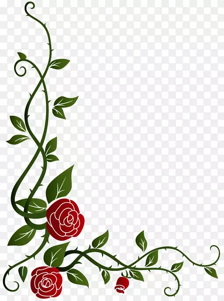 花园玫瑰，花卉设计，切花，剪贴画.玫瑰花装饰