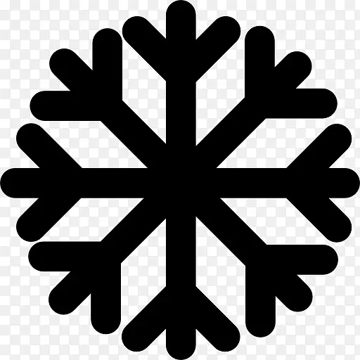 雪flake iconPNG图片素材下载_图片编号4389527-PNG素材网