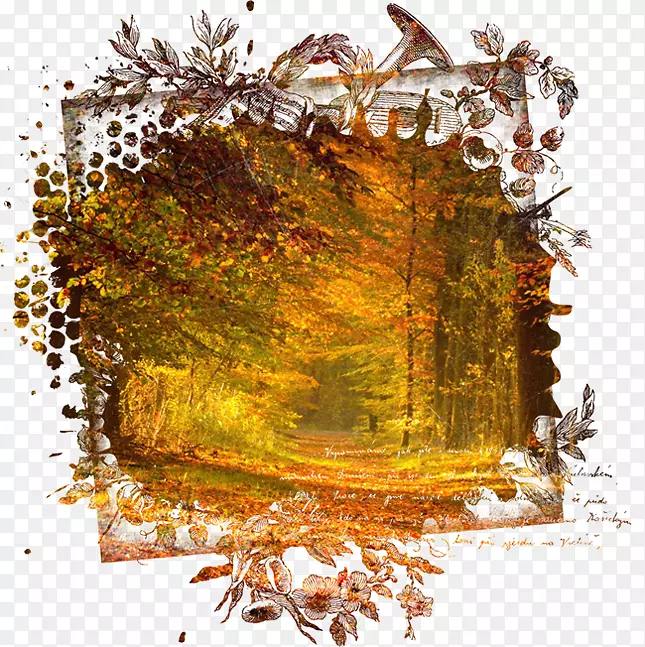 秋季数码图像桌面壁纸-秋季