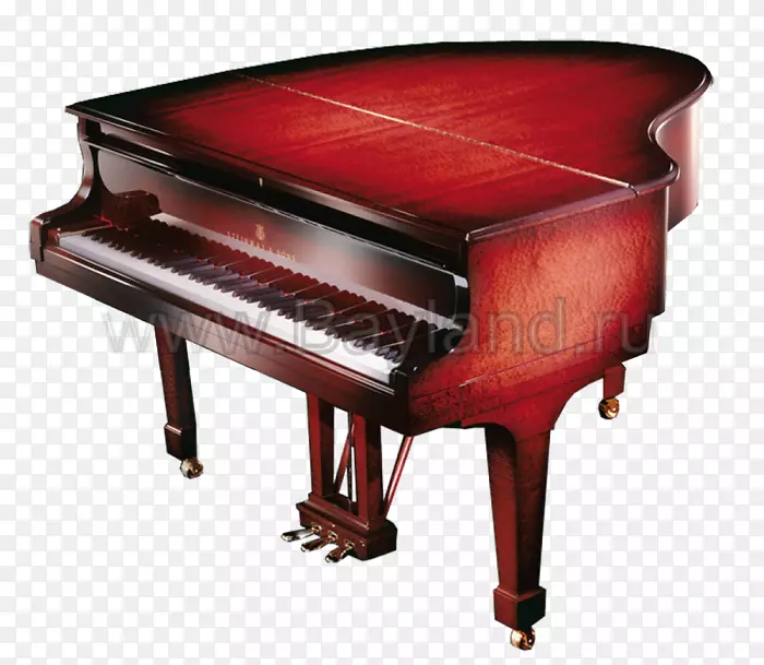 数字钢琴演奏者钢琴电子琴