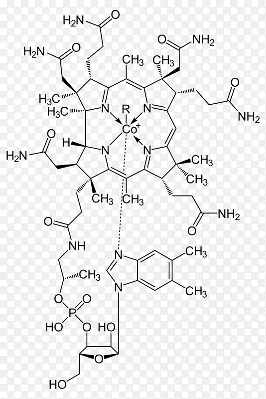 维生素b-12营养氰钴胺-维生素B1 2