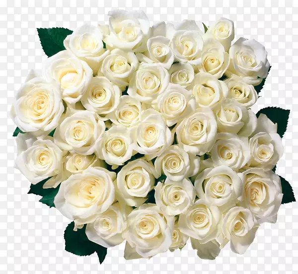 花束玫瑰白玫瑰
