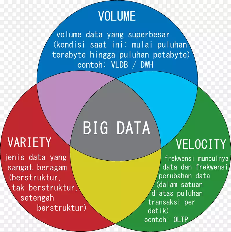 大数据库信息技术数据挖掘大数据