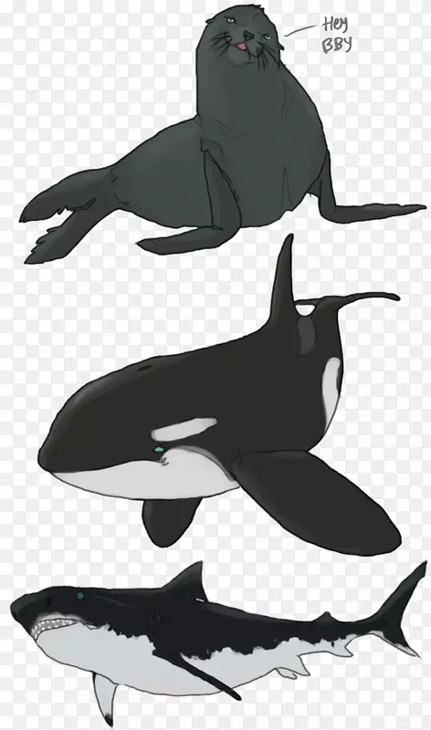 虎鲸海豚不会飞鸟喙水下生物