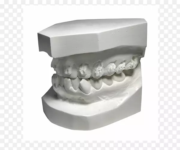 牙科人类牙齿-牙科保健师