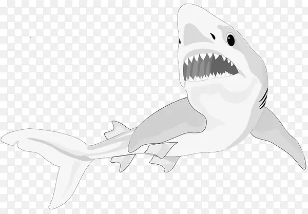 鲨鱼线艺术剪贴画-鲨鱼