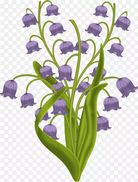 山谷植物茎秆百合切花紫罗兰素