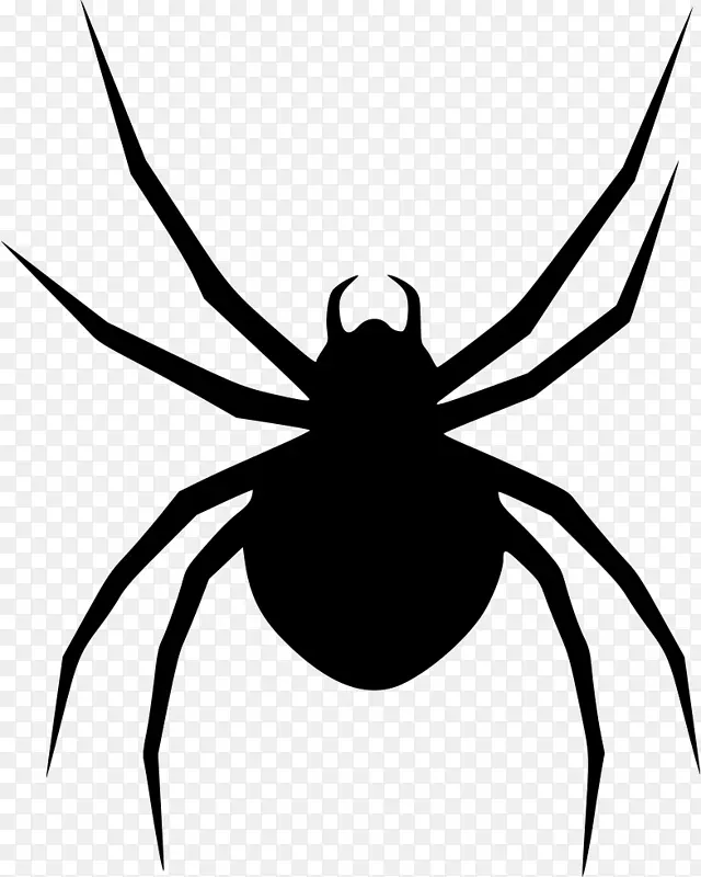 武装蜘蛛，南黑寡妇，红胸蛛-蜘蛛