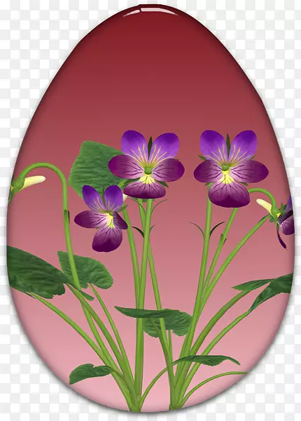 潘西紫卵管