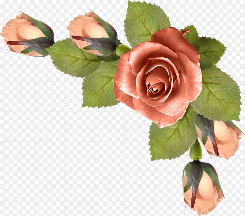花园玫瑰插花艺术