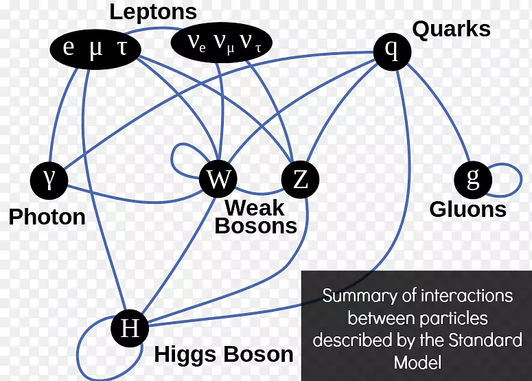 粒子物理学神粒子标准模型希格斯玻色子科学