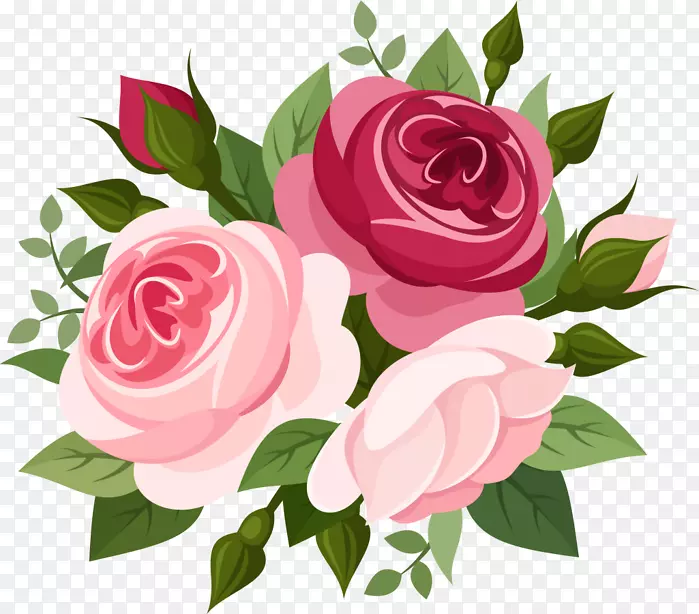 玫瑰粉红色-玫瑰