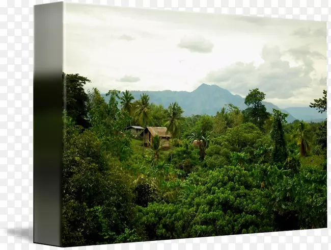 生物群落雨林画廊包植物帆布-Bahay Kubo