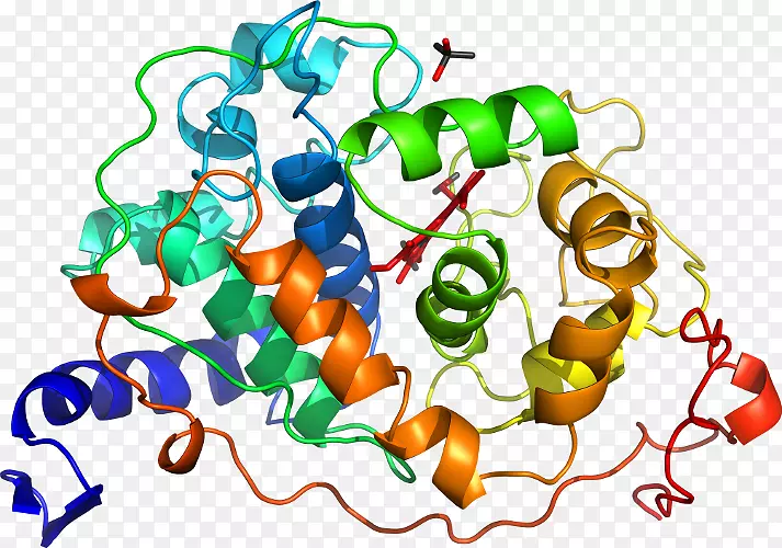 蛋白质超家族基因复制
