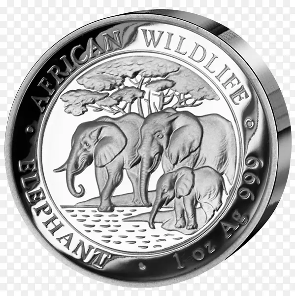 Elephantidae非洲象硬币银币索马里-硬币