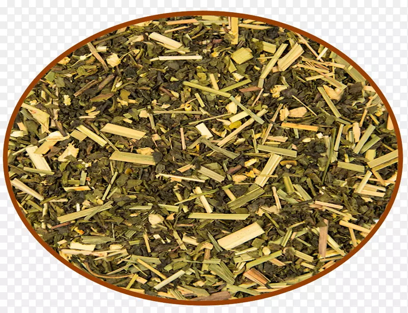 尼尔吉里茶hōJicha茶树-绿茶