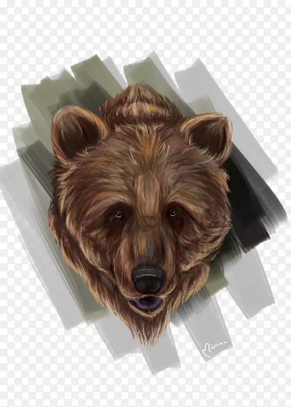 灰熊皮毛阿拉斯加半岛棕熊鼻熊